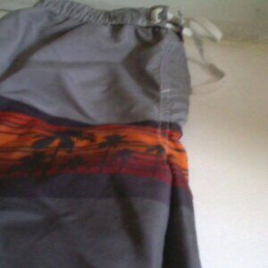 Big Chill Boys Swim Trunks